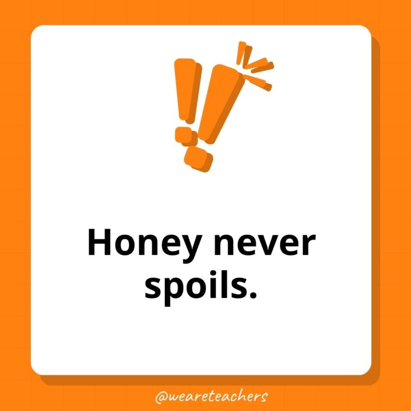Weird fun facts – Honey never spoils. Weird fun facts - Honey never spoils.
