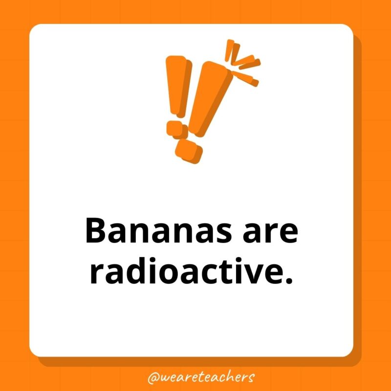 Bananas are radioactive. Bananas are radioactive.