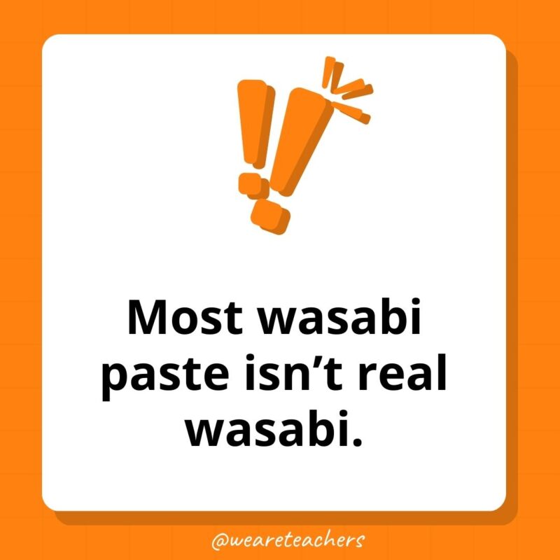 Most wasabi paste isn’t real wasabi. Most wasabi paste isn’t real wasabi.