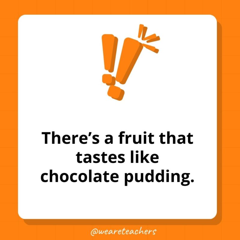 There’s a fruit that tastes like chocolate pudding. – weird fun facts There's a fruit that tastes like chocolate pudding. - weird fun facts