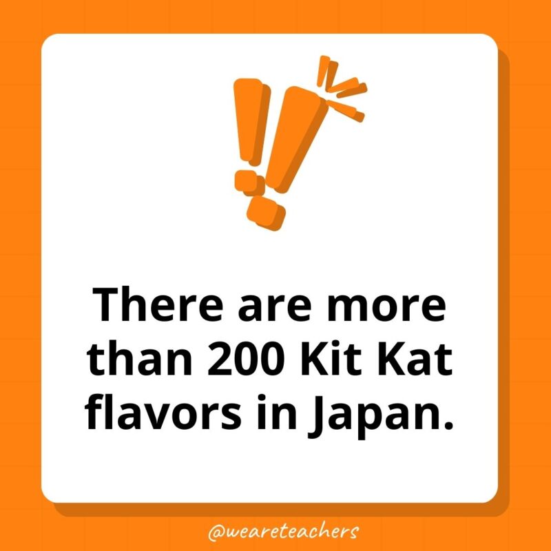 There are more than 200 Kit Kat flavors in Japan. There are more than 200 Kit Kat flavors in Japan.