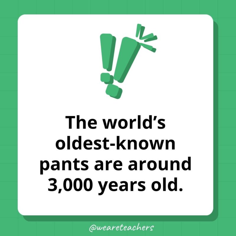 The world’s oldest-known pants are around 3,000 years old. The world's oldest-known pants are around 3,000 years old.