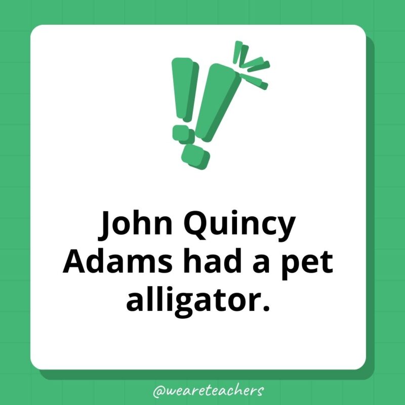 John Quincy Adams had a pet alligator. John Quincy Adams had a pet alligator.