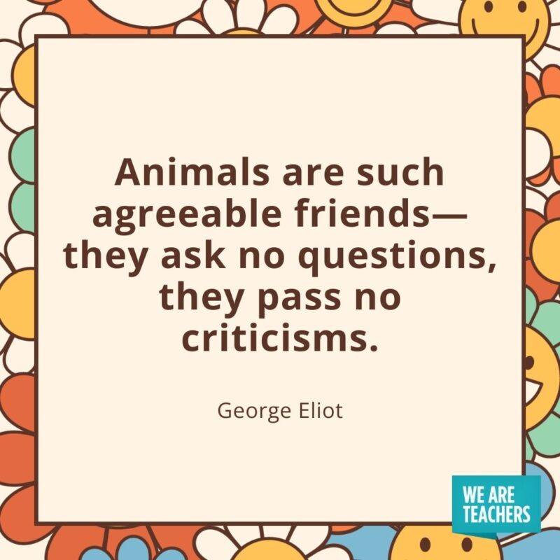 Animals are such agreeable friends—they ask no questions, they pass no criticisms. —George Eliot Animals are such agreeable friends—they ask no questions, they pass no criticisms. —George Eliot