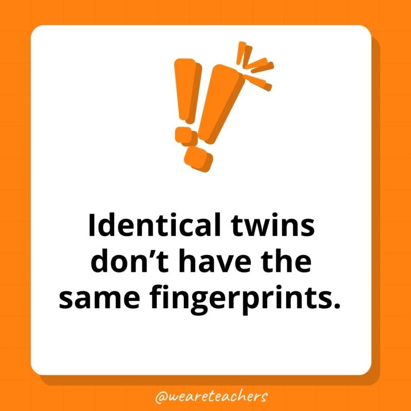 Identical twins don’t have the same fingerprints. – weird fun facts Identical twins don’t have the same fingerprints. - weird fun facts
