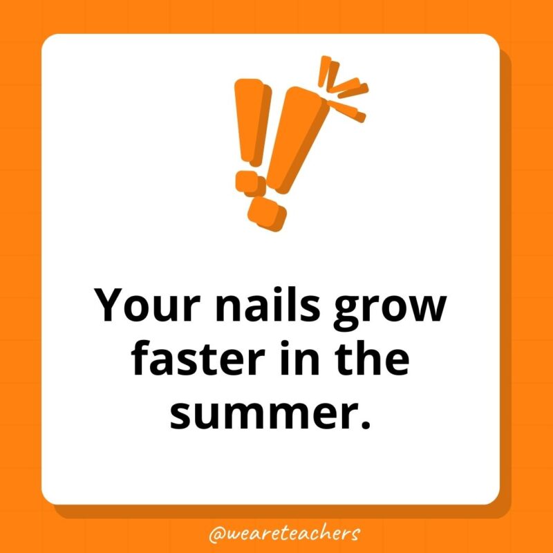 Your nails grow faster in the summer.- weird fun facts Your nails grow faster in the summer.- weird fun facts