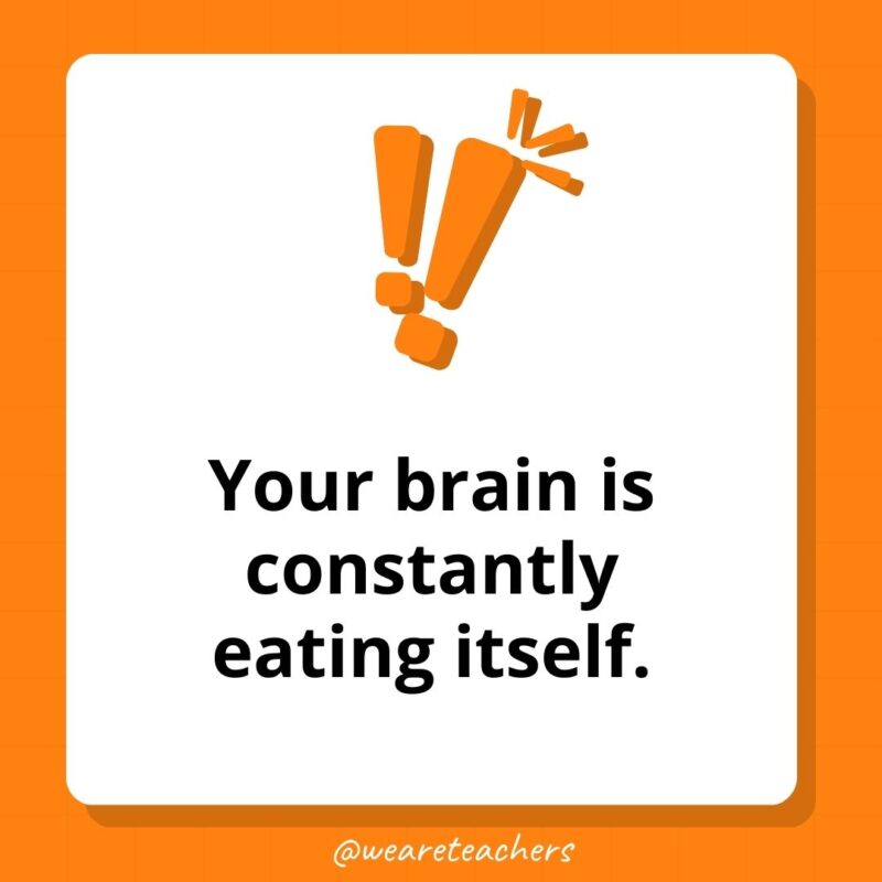 Your brain is constantly eating itself. Your brain is constantly eating itself.