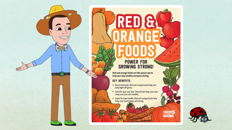 Eat-the-Rainbow-Poster-2 Red and orange foods poster