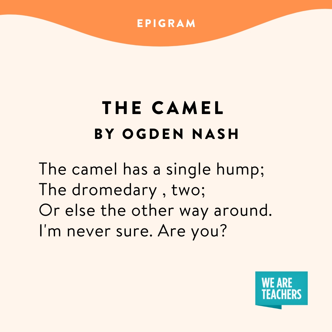 Types of Poetry 8