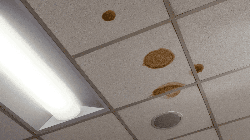 7 Signs You’re Teaching in a “Sick School” Drop ceiling in a school with bad air quality showing water stains