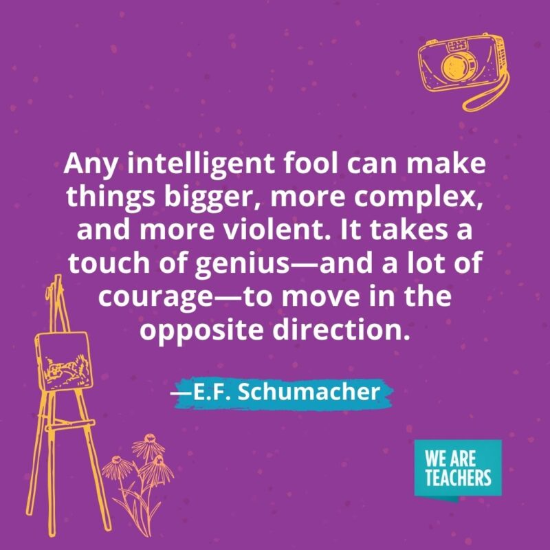 Any intelligent fool can make things bigger, more complex, and more violent. It takes a touch of genius—and a lot of courage—to move in the opposite direction. —E.F. Schumacher