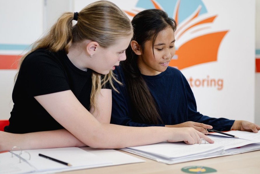 School students need urgent upskilling in AI – expert
