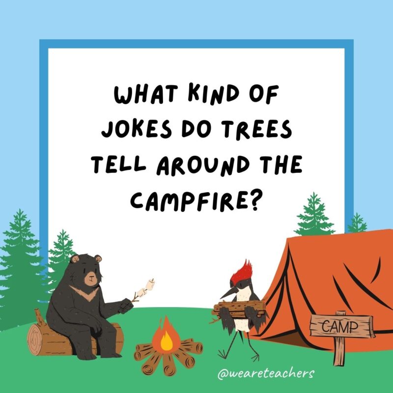 What kind of jokes do trees tell around the campfire? What kind of jokes do trees tell around the campfire?