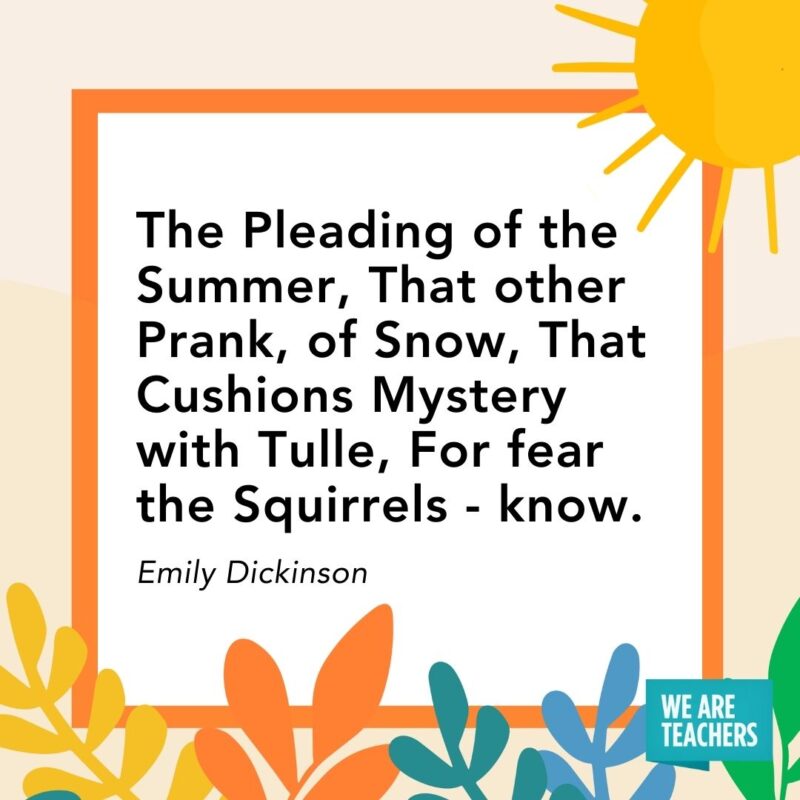 The Pleading of the Summer, That other Prank, of Snow, That Cushions Mystery with Tulle, For fear the Squirrels - know. — Emily Dickinson