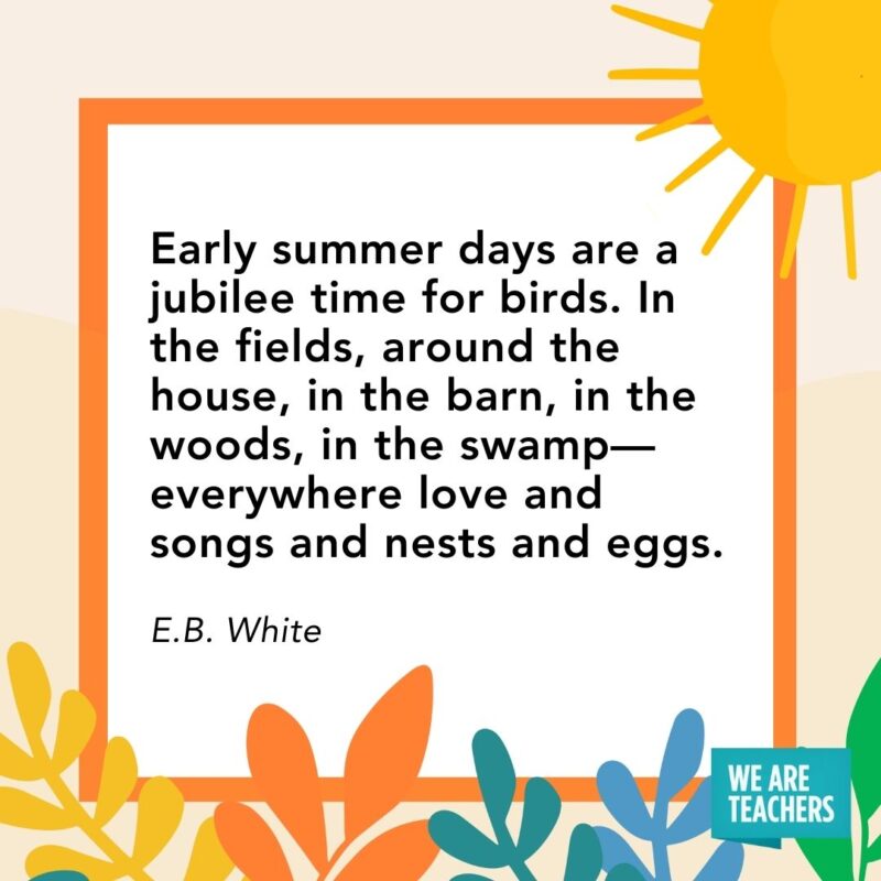 Early summer days are a jubilee time for birds. In the fields, around the house, in the barn, in the woods, in the swamp—everywhere love and songs and nests and eggs. — E.B. White