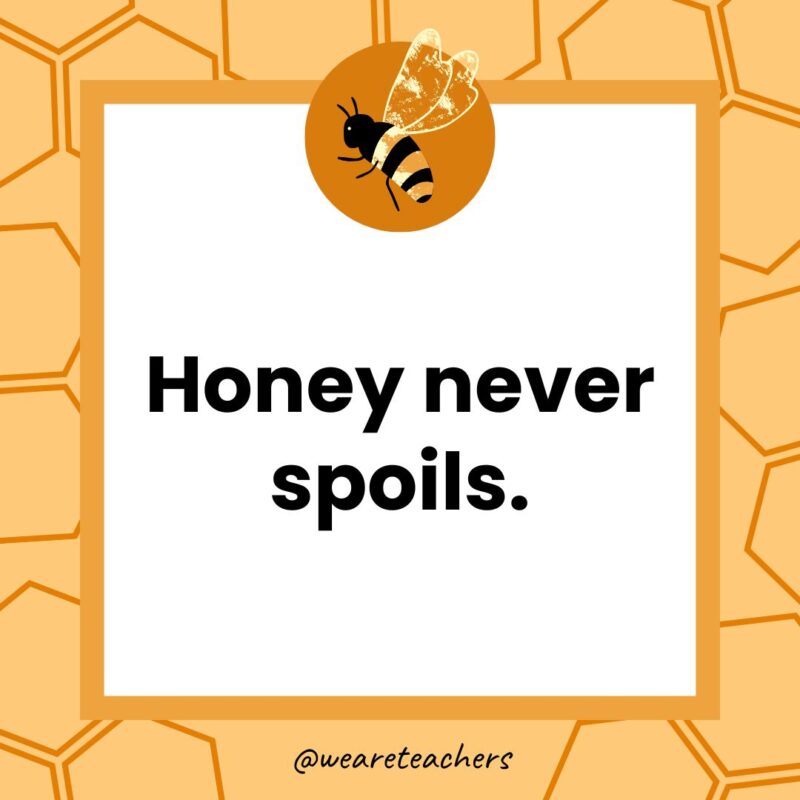 Honey never spoils.