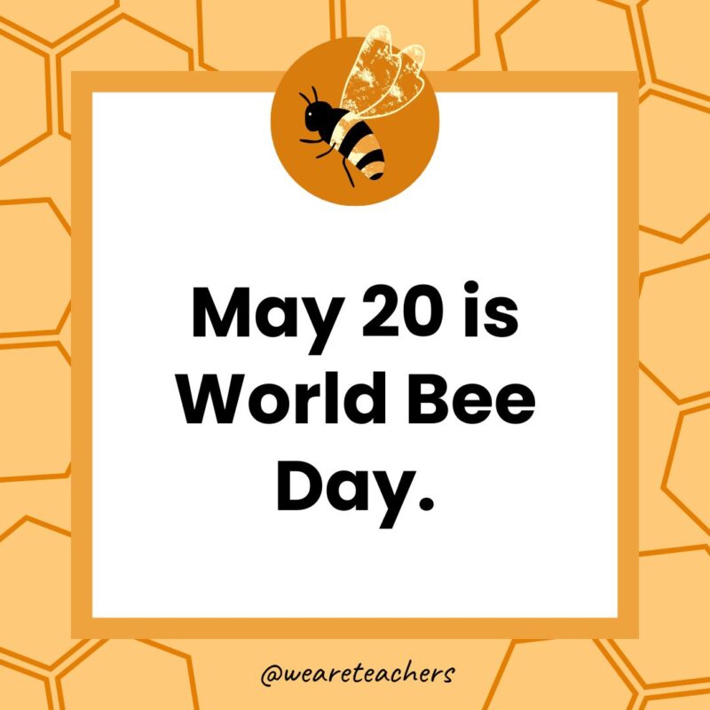 May 20 is World Bee Day.