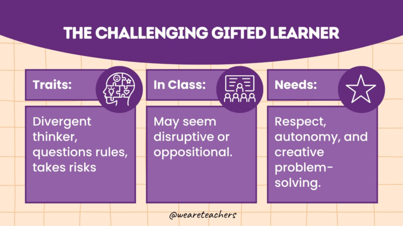 WeAreTeachers_Article_Types Gifted Kids_Image 4 The Challenging Gifted Learner