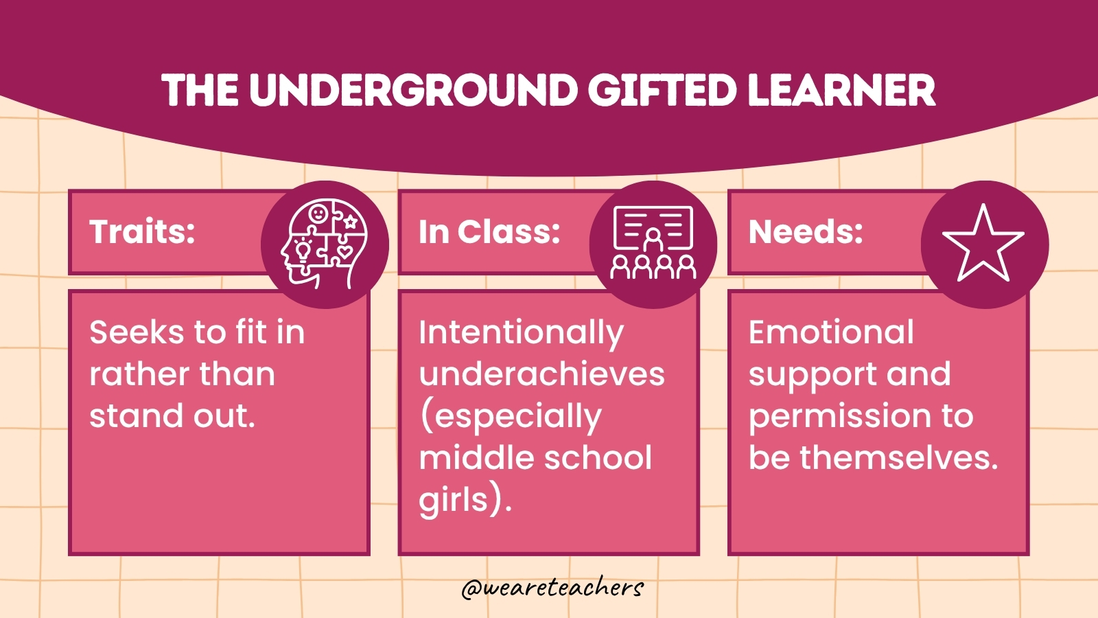 WeAreTeachers_Article_Types Gifted Kids_Image 5 The Underground Gifted Learner