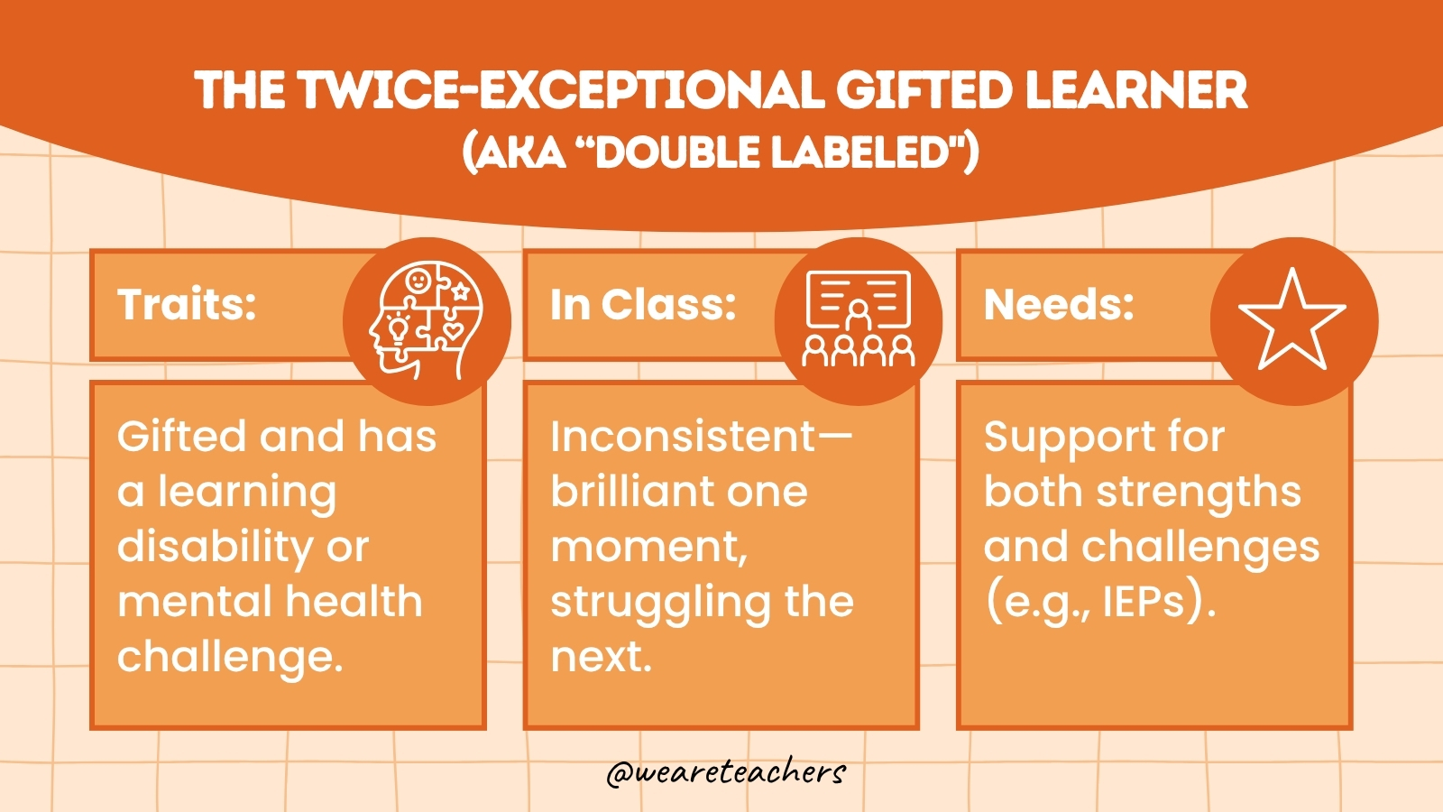 WeAreTeachers_Article_Types Gifted Kids_Image 7 The Twice-Exceptional Gifted Learner (also known as