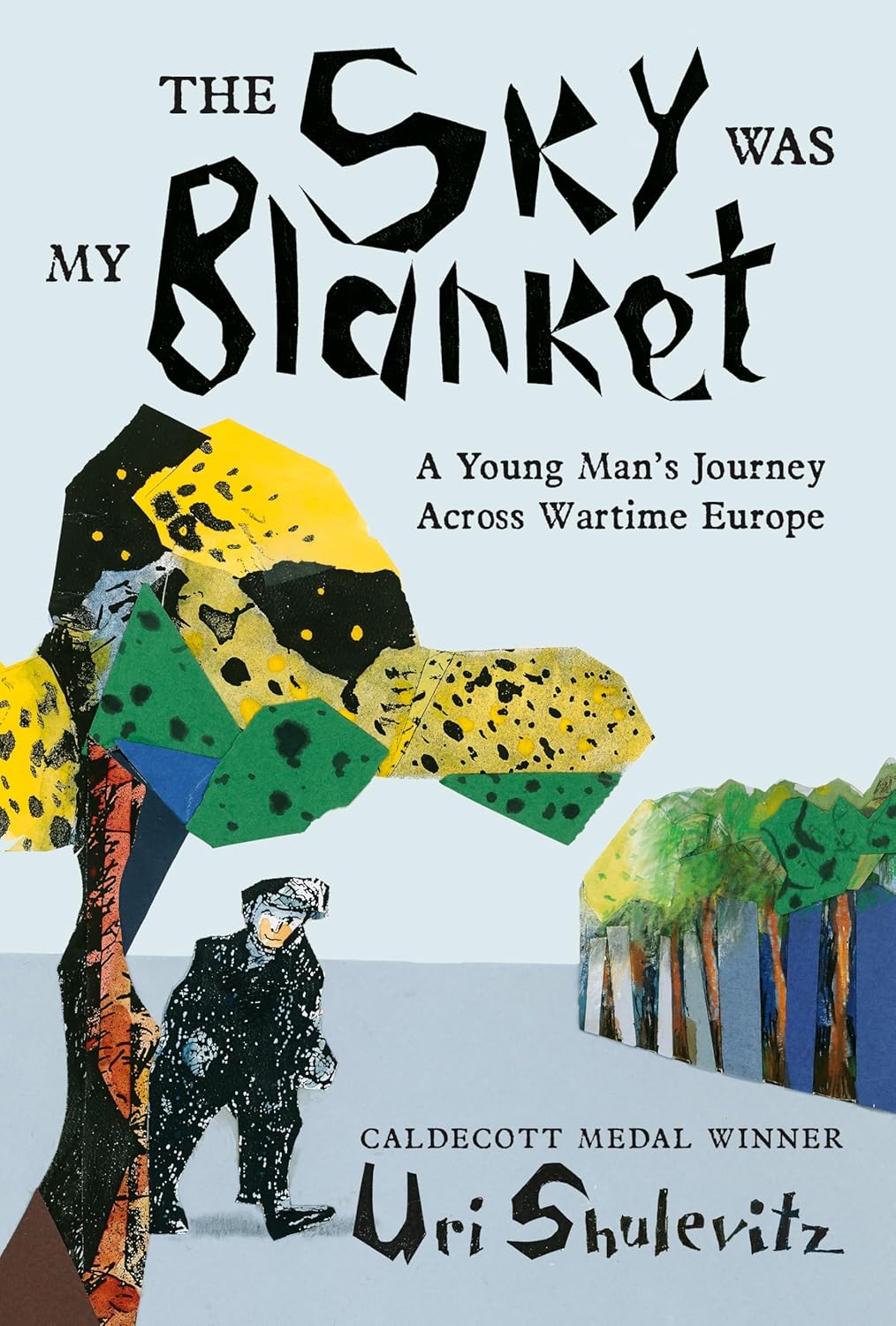 The Sky Was My Blanket book cover