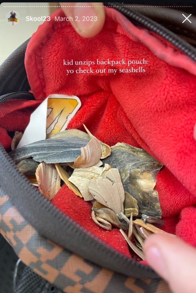 Photo of seashells in student's backpack