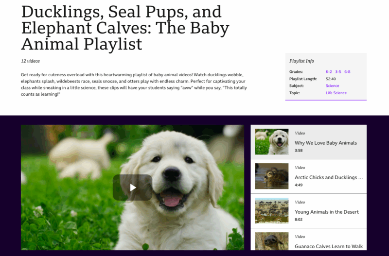 BBC Learning Hub Baby Animals Playlist BBC Learning Hub Baby Animals Playlist