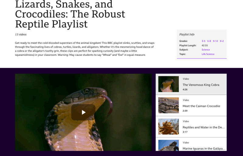 BBC Learning Hub Robust Reptiles Playlist BBC Learning Hub Robust Reptiles playlist