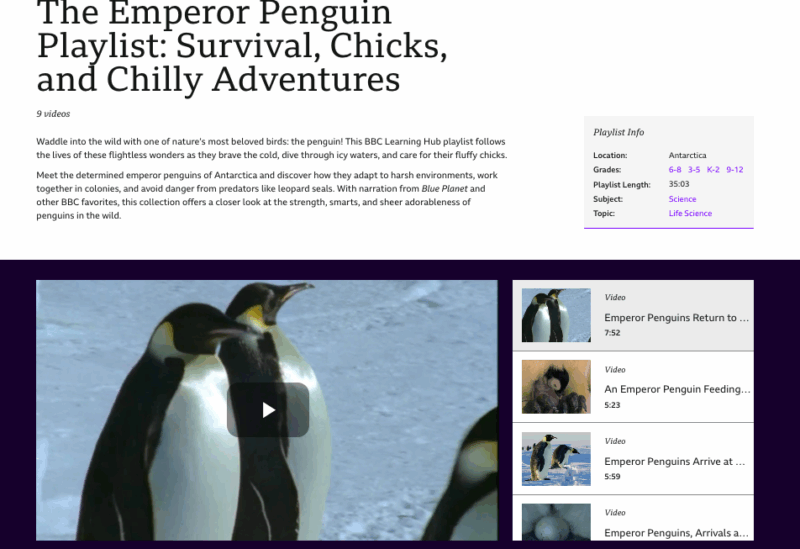 BBC Learning Hub Emperor Penguins Playlist Sample of free classroom videos in BBC Learning Hub's Emperor Penguins playlist