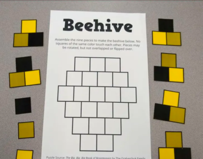 Beehive puzzle for middle schoolers. 