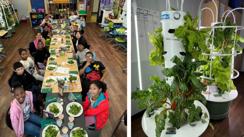 Green Bronx machine feast