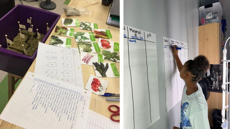 Learning about gardening with Green Bronx machine curriculum