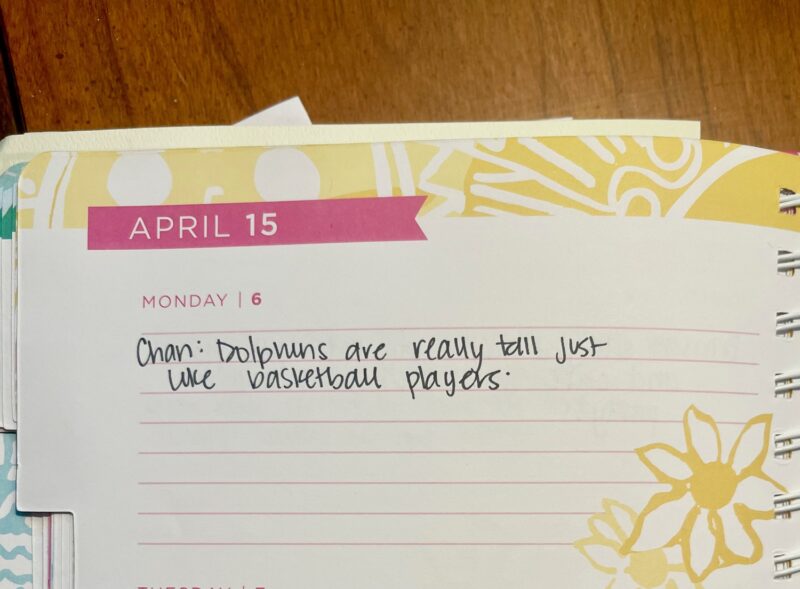Jessica Kirkland's daily record 