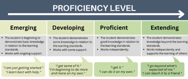 Proficiency Level