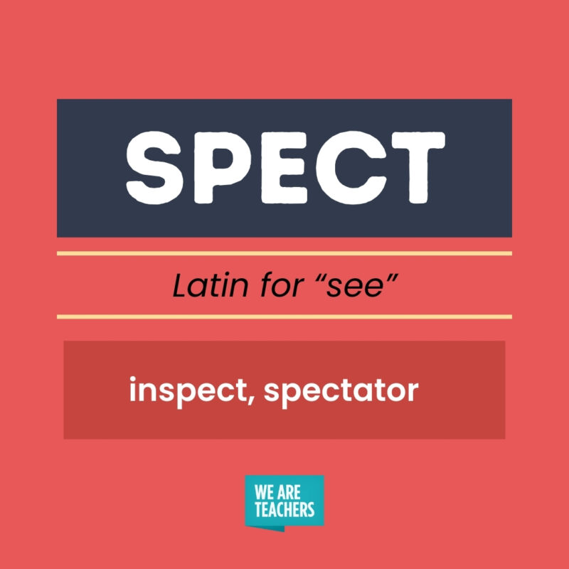 Greek and Latin Root Words SPECT, Latin for see