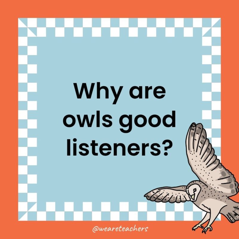 Owl Jokes for Kids a joke that states: Why are owls good listeners?