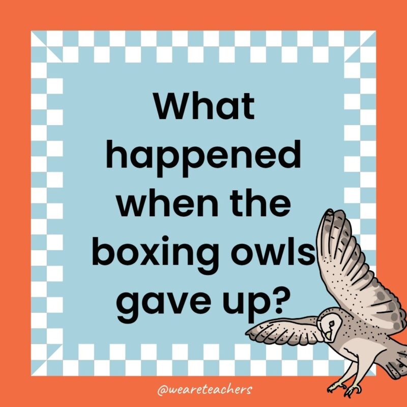 Owl Jokes for Kids a joke that states: What happened when the boxing owls gave up?