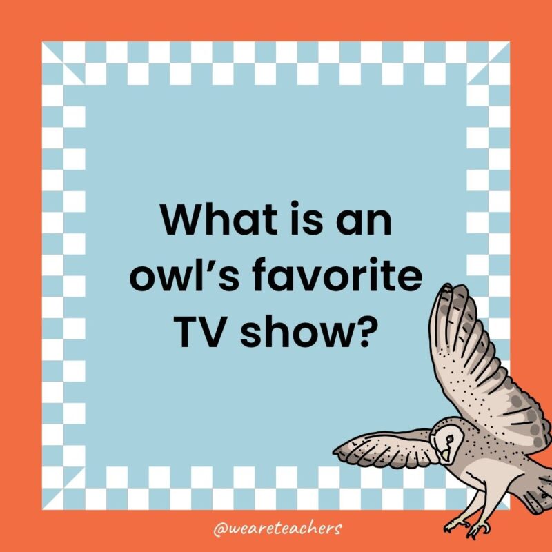 Owl Jokes for Kids a joke that states: What is an owl’s favorite TV show?