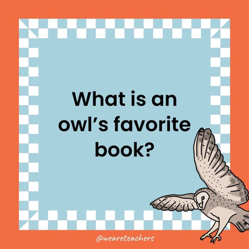 Owl Jokes for Kids a joke that states: What is an owl’s favorite book?