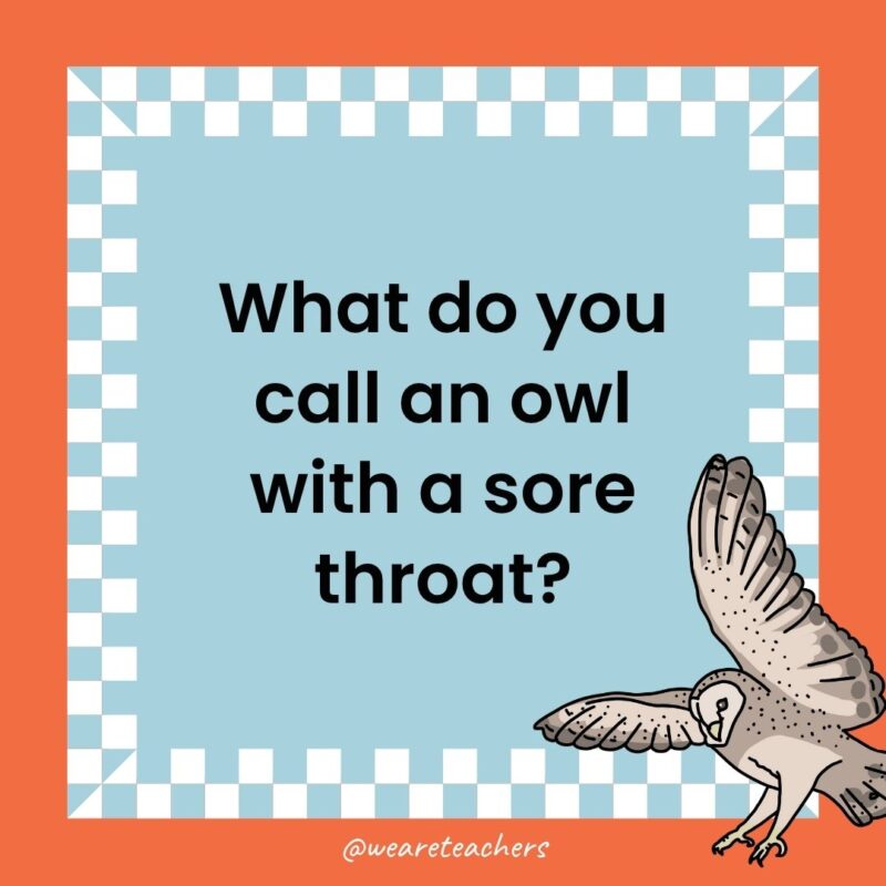 Owl Jokes for Kids a joke that states: What do you call an owl with a sore throat?