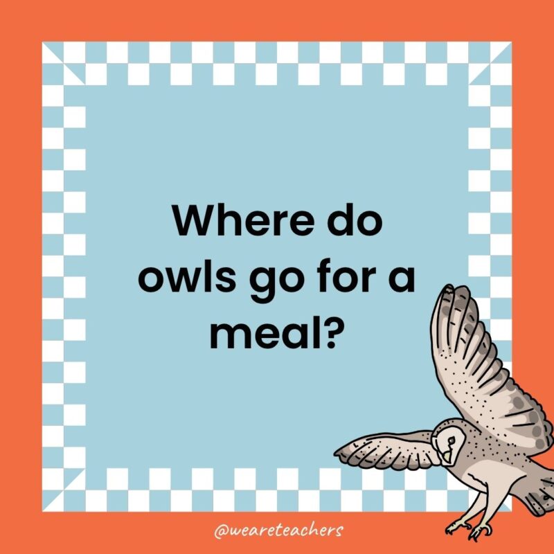 Owl Jokes for Kids a joke that states: Where do owls go for a meal?