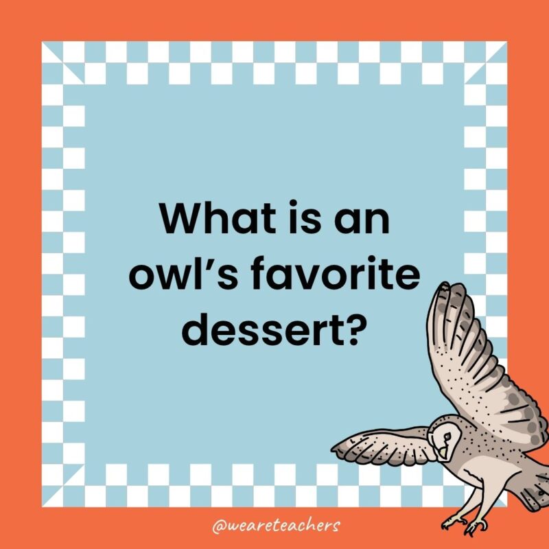 Owl Jokes for Kids a joke that states: What is an owl’s favorite dessert?
