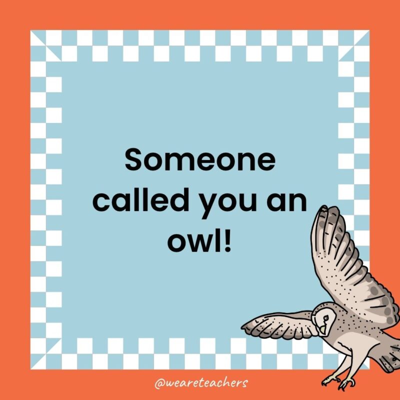 Owl Jokes for Kids a joke that states: Someone called you an owl!