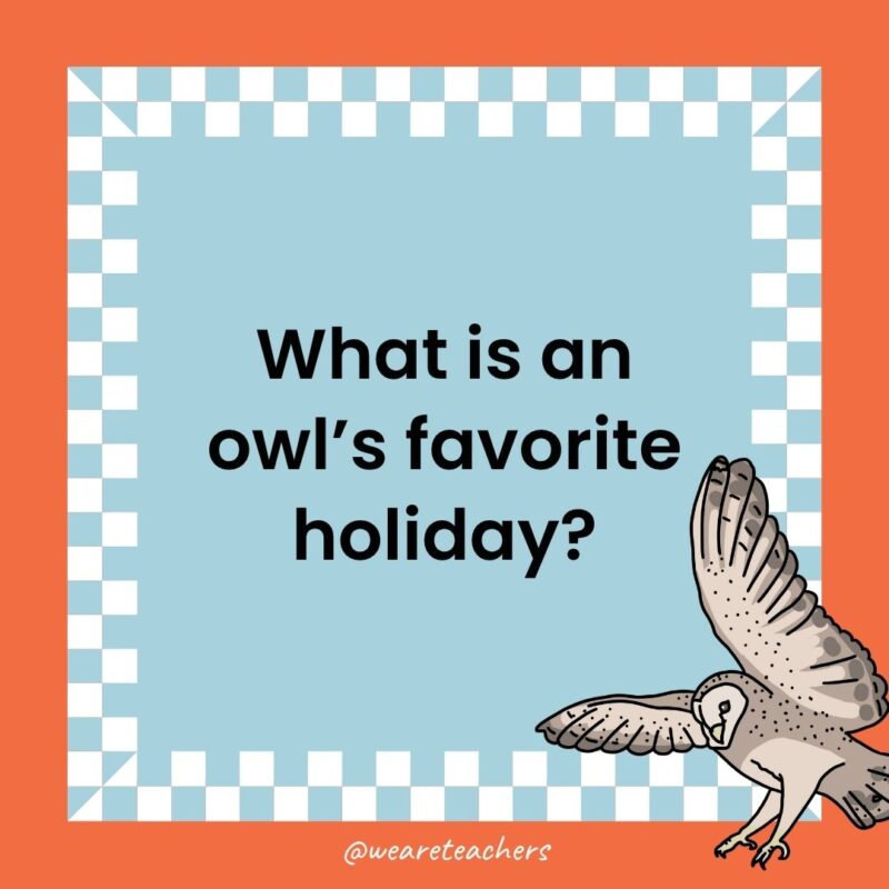 Owl Jokes for Kids a joke that states: What is an owl’s favorite holiday?