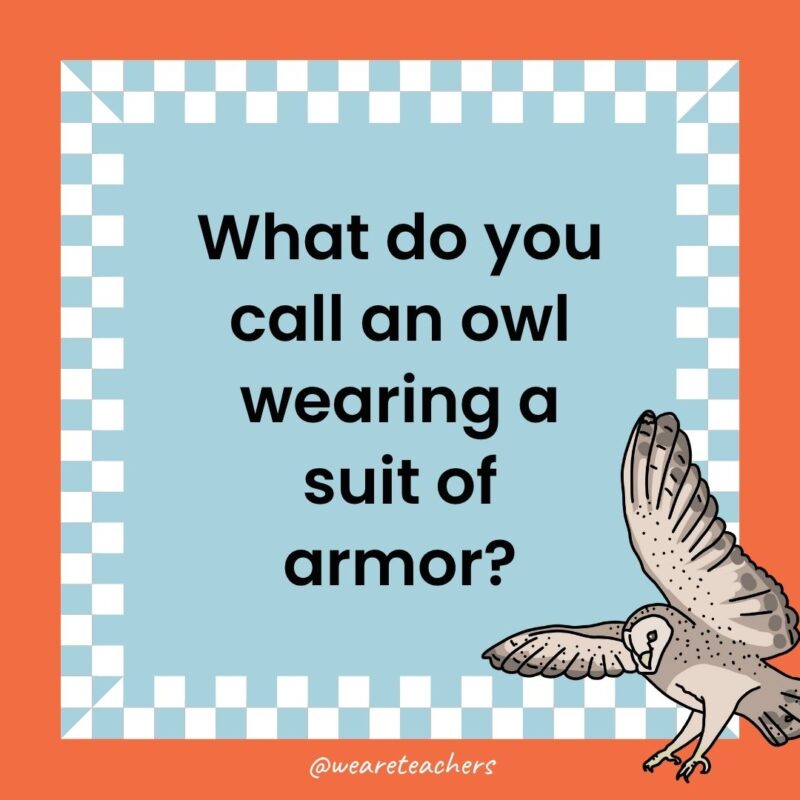 Owl Jokes for Kids a joke that states: What do you call an owl wearing a suit of armor?