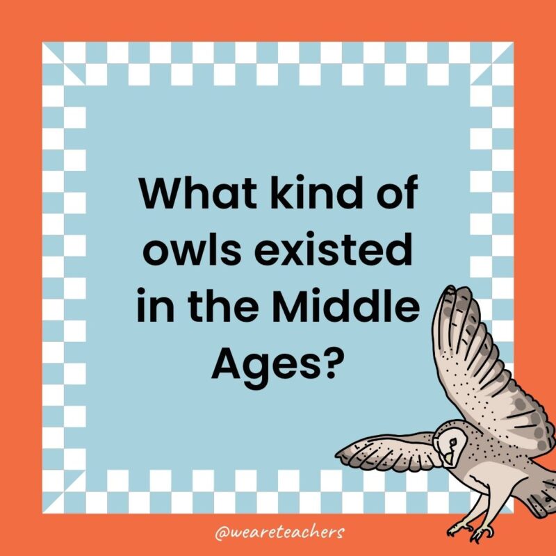 Owl Jokes for Kids a joke that states: What kind of owls existed in the Middle Ages?