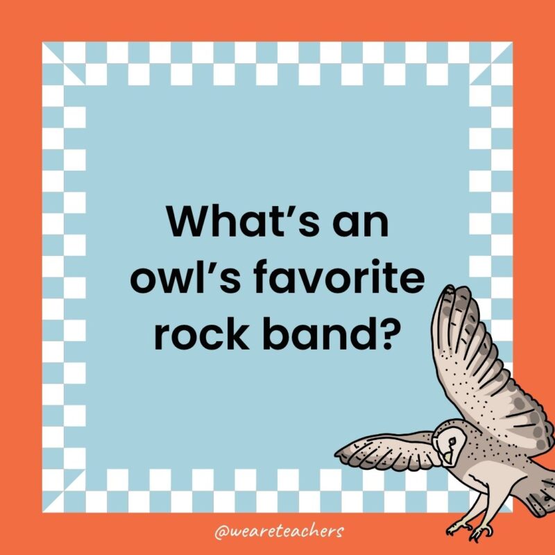 Owl Jokes for Kids a jokes that states: What’s an owl’s favorite rock band?