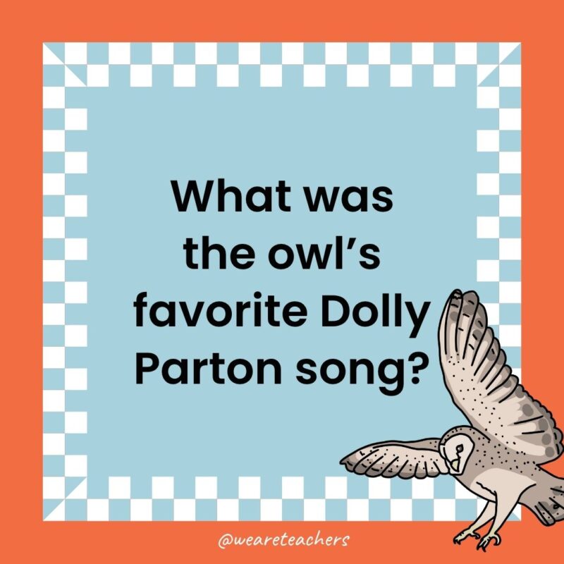 Owl Jokes for Kids a joke that states: What was the owl’s favorite Dolly Parton song?