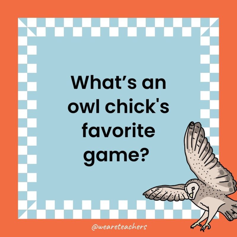 Owl Jokes for Kids a joke that states: What’s an owl chick's favorite game?