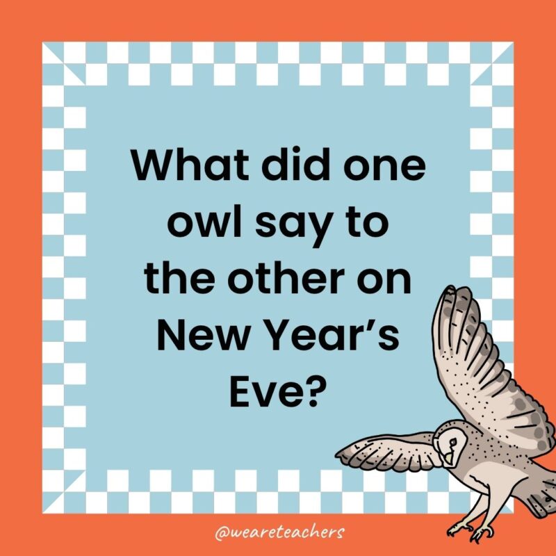 Owl Jokes for Kids a joke that states: What did one owl say to the other on New Year’s Eve?